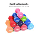 Hot Sale Men Home Gym Strength Trainning Color Plastic Dipping Pound Weight Neoprene Dumbbells lb for Beginner